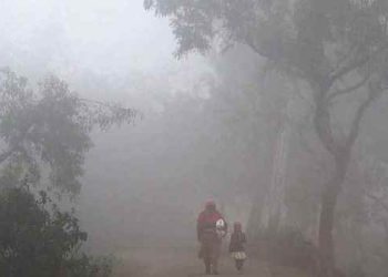 ৭.৭ ডিগ্রি তাপমাত্রায় কাঁপছে পঞ্চগড়