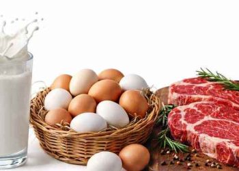 রমজানে ১০ লাখ পরিবারকে স্বল্পমূল্যে দুধ-ডিম ও মাংস দেবে সরকার