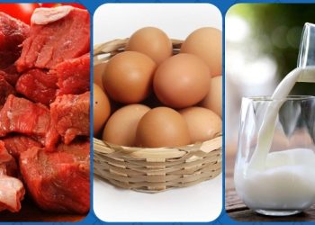 রমজানে ২৬ দিন সুলভ মূল্যে মাংস-ডিম-দুধ বিক্রি করবে সরকার