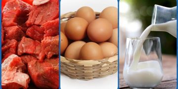 রমজানে ২৬ দিন সুলভ মূল্যে মাংস-ডিম-দুধ বিক্রি করবে সরকার