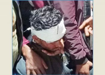 হান্নান মাসউদের পথসভায় ইট নিক্ষেপ, আহত ২