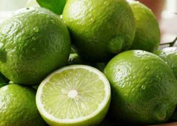 লেবুর হালি ২০০