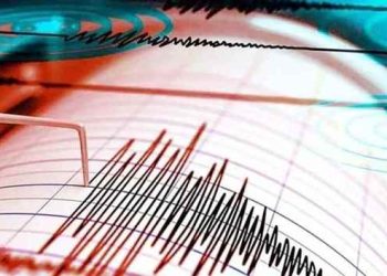 ভূমিকম্পে কেঁপে উঠল দেশ