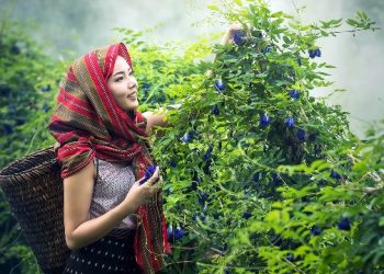 মানসিক চাপ? দূর করার সহজ একটি উপায় জেনে নিন