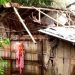 সাতক্ষীরায় কালবৈশাখীর তাণ্ডব ও শিলাবৃষ্টি, ঘরবাড়ি লণ্ডভণ্ড