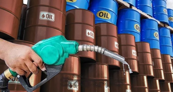 দেশে ১৪ দিনের ডিজেল মজুদ আছে