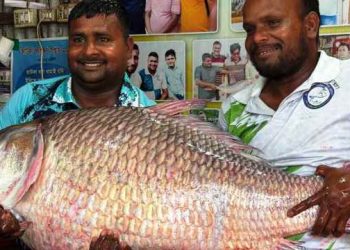 এক কাতলের দাম ৬৯ হাজার টাকা!