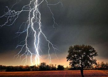 বজ্রপাতে ৮ জেলায় ১৩ জনের প্রাণহানি