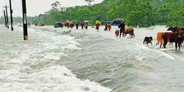 পাঁচ জেলায় বন্যার আশঙ্কা