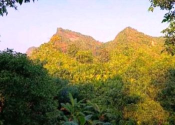 টেকনাফের পাহাড় থেকে তিন যুবকের মরদেহ উদ্ধার