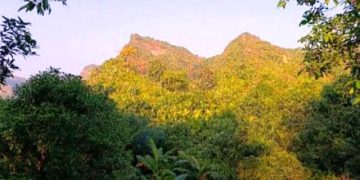 টেকনাফের পাহাড় থেকে তিন যুবকের মরদেহ উদ্ধার