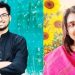 লিমন-বৃষ্টিকে মরণোত্তর ডক্টরেট ডিগ্রি দিচ্ছে ইউনিভার্সিটি অব সাউথ ফ্লোরিডা