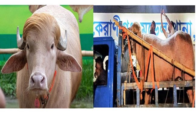 ডোনাল্ড ট্রাম্পের শেষ ঠিকানা চিড়িয়াখানা