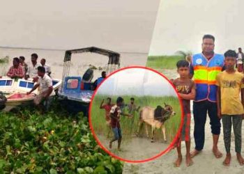 পদ্মায় ট্রলারডুবিতে ব্যবসায়ীসহ ২৩ গরু নিখোঁজ