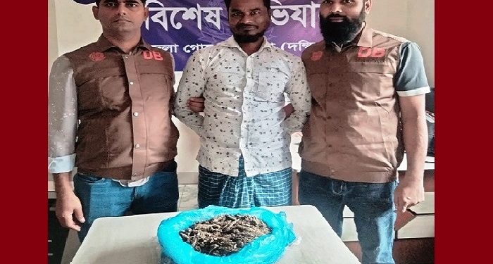ঢাকার কেরানীগঞ্জে মাদক ব্যবসায়ী গ্রেফতার