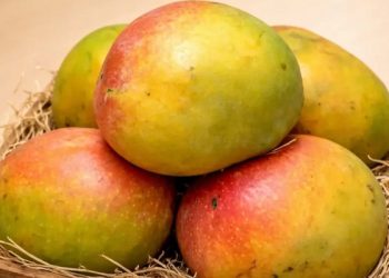 ভালো আম চেনার উপায়