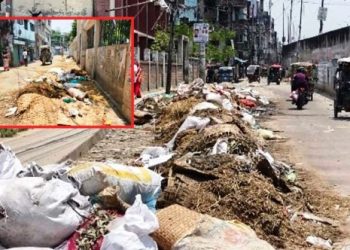 কেরানীগঞ্জে ঈদের তৃতীয় দিনেও অপসারণ হয়নি অস্থায়ী পশুর হাটের বর্জ্য