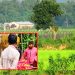 বিএসএফের গুলিতে বাংলাদেশি যুবক