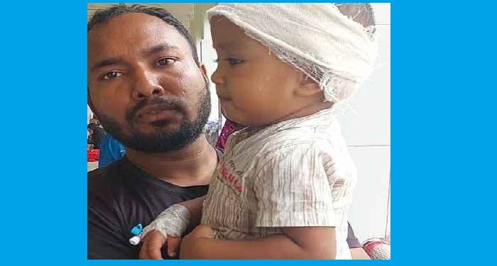 শিয়ালের মুখ থেকে শিশুকে বাঁচালেন মা
