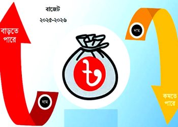 বাজেটে যেসব পণ্যের দাম কমতে ও বাড়তে পারে
