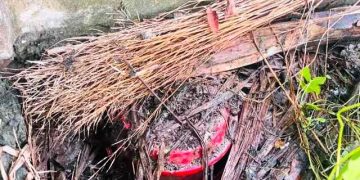 শরীয়তপুরে কবরস্থানে মিলল ককটেল মজুতের গোপন আস্তানা