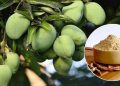 আমচুরের জাদুতে বদলে দিন খাবারের স্বাদ