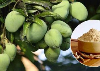 আমচুরের জাদুতে বদলে দিন খাবারের স্বাদ