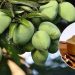 আমচুরের জাদুতে বদলে দিন খাবারের স্বাদ
