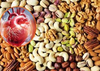 ডায়েটে কোন বাদাম রাখলে হার্ট ভাল থাকবে?