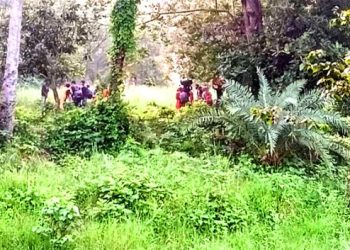 চাঁপাইনবাবগঞ্জ সীমান্তে ২৮ জনকে পুশ-ইন করল বিএসএফ