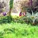 চাঁপাইনবাবগঞ্জ সীমান্তে ২৮ জনকে পুশ-ইন করল বিএসএফ