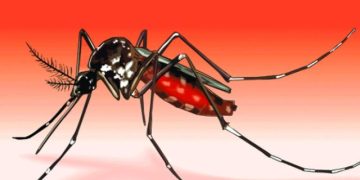 ডেঙ্গুতে ২ জনের মৃত্যু, হাসপাতালে ১৫৭