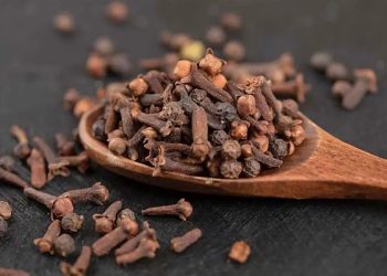 প্রতিদিন সকালে দুটি লবঙ্গ খাওয়ার উপকারিতা