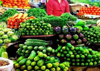 টানা বৃষ্টিতে সবজির দামে সেঞ্চুরি