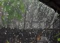 টানা বৃষ্টি আরও কত দিন থাকবে, জানাল অধিদপ্তর