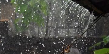টানা বৃষ্টি আরও কত দিন থাকবে, জানাল অধিদপ্তর