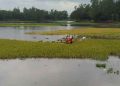 টানা বৃষ্টিতে তছনছ কৃষি-অর্থনীতি