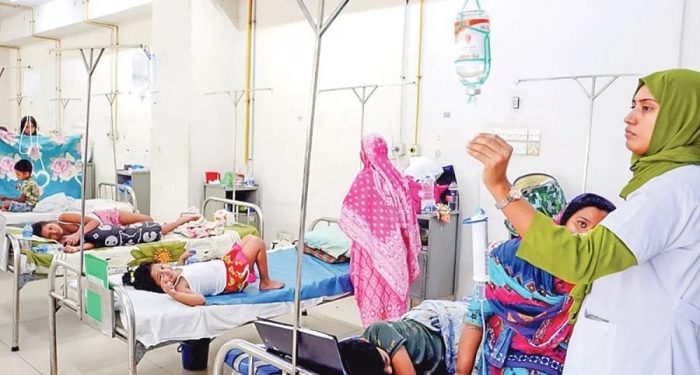 ডেঙ্গুতে আরও ৩ জনের মৃত্যু, হাসপাতালে ভর্তি ৫১২