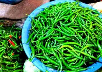 কাঁচামরিচের কেজি ছাড়ালো ৩০০ টাকা