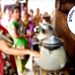 দীর্ঘ সময় গ্যাস সংকটে ভুগবেন যেসব এলাকার বাসিন্দারা