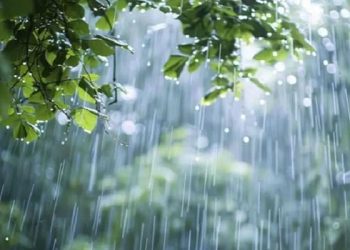 আজও সারা দেশে বৃষ্টির আভাস, ৫ জেলায় ভূমিধসের উচ্চ ঝুঁকি