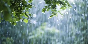 আজও সারা দেশে বৃষ্টির আভাস, ৫ জেলায় ভূমিধসের উচ্চ ঝুঁকি