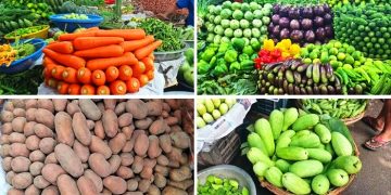 টানা বৃষ্টিতে বেড়েছে সবজির দাম, মরিচের কেজি ২০০ টাকা