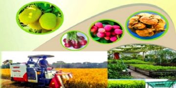 খাদ্যনিরাপত্তায় প্রযুক্তিনির্ভর কৃষি