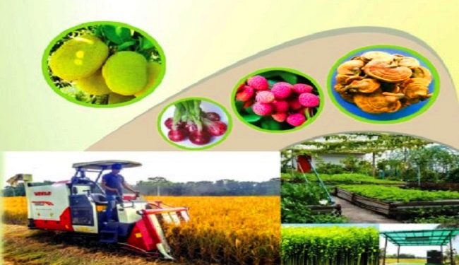 খাদ্যনিরাপত্তায় প্রযুক্তিনির্ভর কৃষি