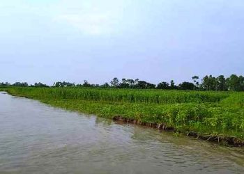 ফের বাড়ছে তিস্তা-দুধকুমার নদের পানি, নিম্নাঞ্চল প্লাবিত