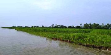 ফের বাড়ছে তিস্তা-দুধকুমার নদের পানি, নিম্নাঞ্চল প্লাবিত