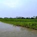 ফের বাড়ছে তিস্তা-দুধকুমার নদের পানি, নিম্নাঞ্চল প্লাবিত