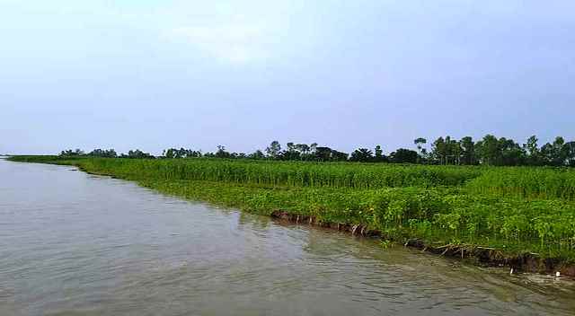 ফের বাড়ছে তিস্তা-দুধকুমার নদের পানি, নিম্নাঞ্চল প্লাবিত