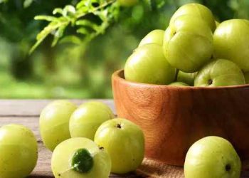 রোগ প্রতিরোধ ক্ষমতা বাড়াতে আমলকীর উপকারিতা